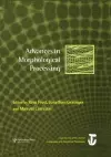 Advances in Morphological Processing cover