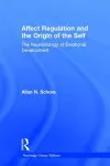 Affect Regulation and the Origin of the Self cover