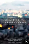 Pre-reflective Consciousness cover