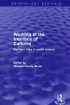 Working at the Interface of Cultures cover