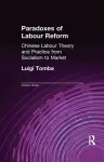 Paradoxes of Labour Reform cover