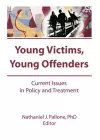 Young Victims, Young Offenders cover