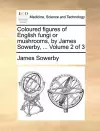 Coloured Figures of English Fungi or Mushrooms, by James Sowerby, ... Volume 2 of 3 cover