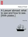 A Lawyer Abroad cover