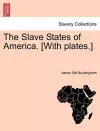 The Slave States of America. [With plates.] cover