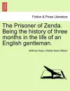 The Prisoner of Zenda. Being the History of Three Months in the Life of an English Gentleman. cover