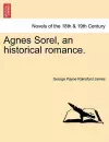 Agnes Sorel, an Historical Romance. cover
