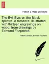 The Evil Eye; or, the Black spectre. A romance. Illustrated with thirteen engravings on wood, from drawings by Edmund Fitzpatrick. cover