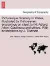 Picturesque Scenery in Wales, Illustrated by Thirty-Seven Engravings on Steel, by H. Adlard, Allen, Gastineau and Others. with Descriptions by J. Tillotson. cover