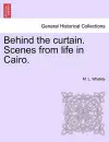 Behind the Curtain. Scenes from Life in Cairo. cover