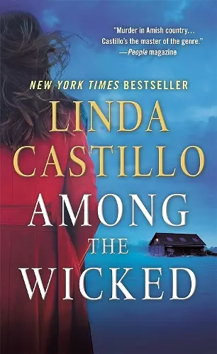 Among the Wicked cover