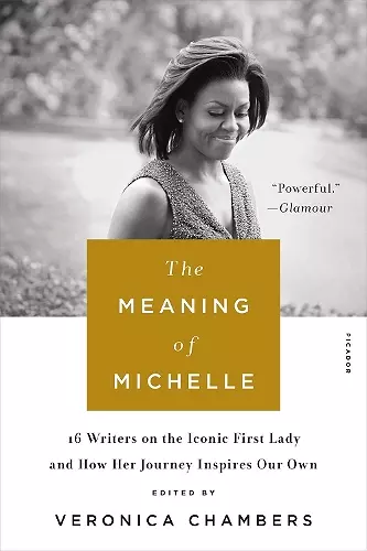 The Meaning of Michelle cover