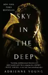 Sky in the Deep cover