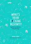 What's Your F*cking Destiny? cover