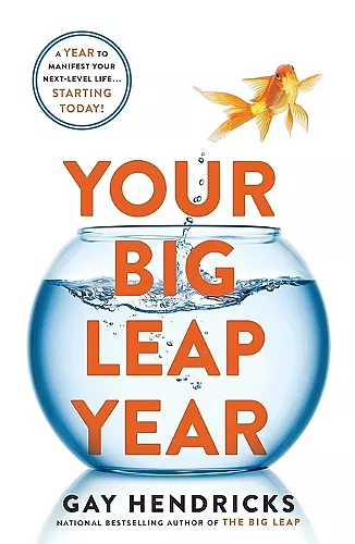 Your Big Leap Year cover