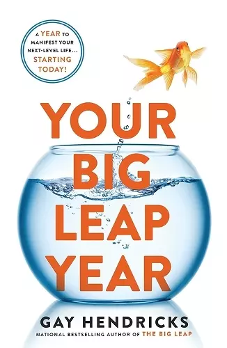 Your Big Leap Year cover