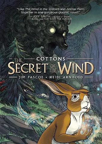 Cottons: The Secret of the Wind cover