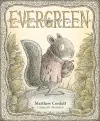 EVERGREEN cover