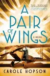 A Pair of Wings cover