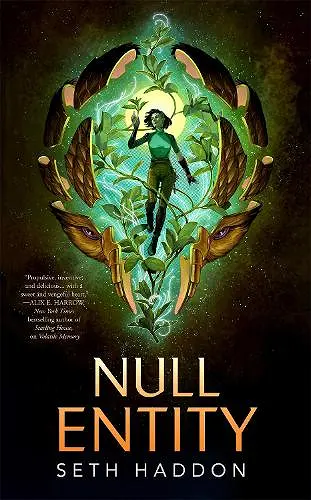 Null Entity cover