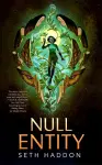 Null Entity cover