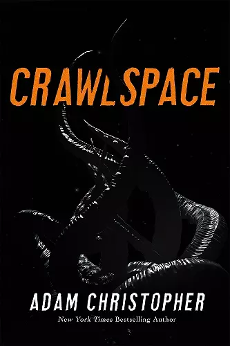 Crawlspace cover