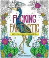 F*cking Fantastic cover