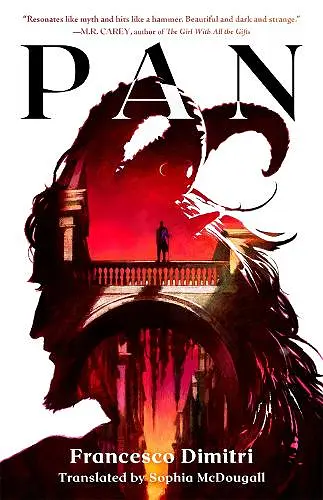 Pan cover