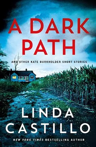A Dark Path: And Other Kate Burkholder Short Stories cover
