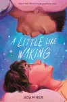 A Little Like Waking cover