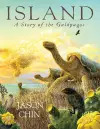 Island cover