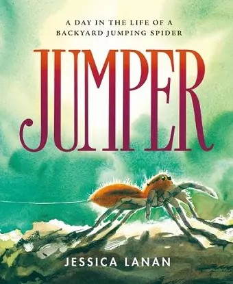 Jumper cover