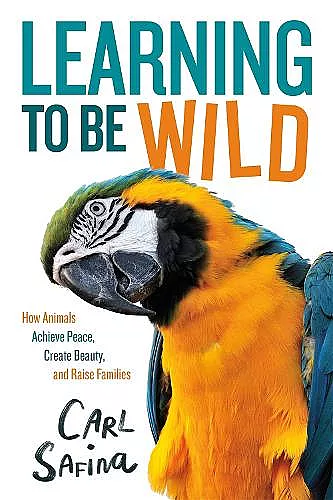 Learning to Be Wild (A Young Reader's Adaptation) cover