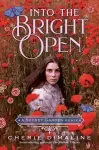 Into the Bright Open: A Secret Garden Remix cover