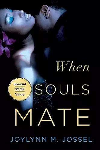 When Souls Mate cover