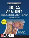 The Big Picture: Gross Anatomy, Medical Course & Step 1 Review, Second Edition cover