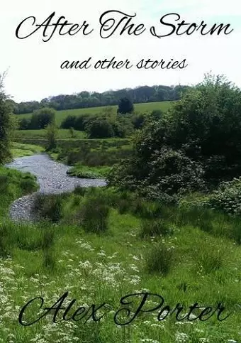 After The Storm and Other Stories cover