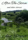 After The Storm and Other Stories cover