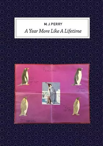 A Year More Like a Lifetime cover