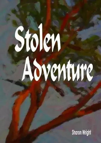 Stolen Adventure cover