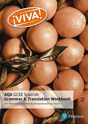 Viva! AQA GCSE Spanish Grammar and Translation Workbook cover