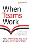 When Teams Work: How to develop and lead a high-performing team cover