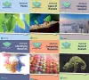 Science Bug International Year 1 Workbook Pack cover