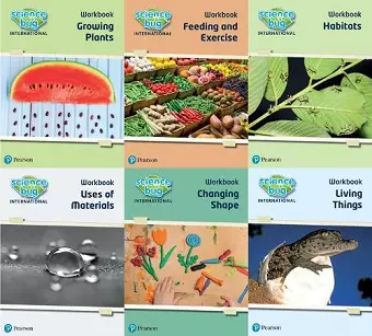 Science Bug International Year 2 Workbook Pack cover
