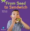 Bug Club Phonics - Phase 1 Unit 0: From Seed to Sandwich cover