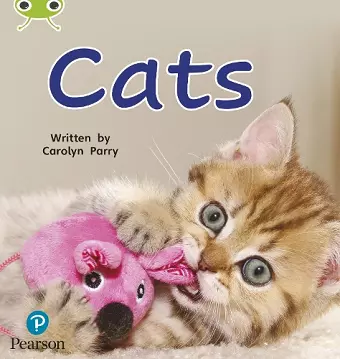 Bug Club Phonics - Phase 2 Unit 3: Cats cover