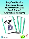 Bug Club Phonics Grapheme-Sound Picture Frieze Cards Year 1 Phase 5 alternatives (A4) cover