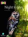 Bug Club Reading Corner: Age 4-5: Night to Day cover