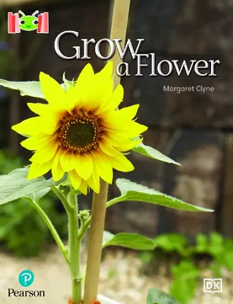 Bug Club Reading Corner: Age 4-7: Grow a Flower cover