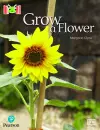 Bug Club Reading Corner: Age 4-7: Grow a Flower cover